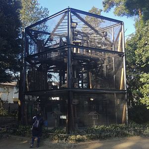 Japanese Squirrel Tower