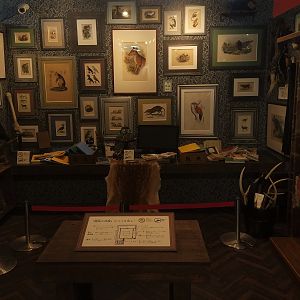 'Zoo Director's Room'