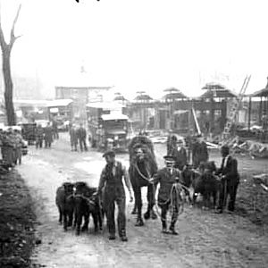 before they opened in 1937