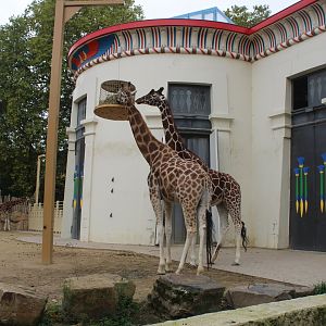 Giraffe-enclosure and Egyptian Temple