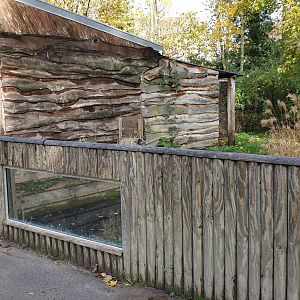 Indoor enclosures Bush dog - back and Ring-tailed lemur - front