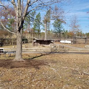 Metro Richmond - Miracle of Christmas area