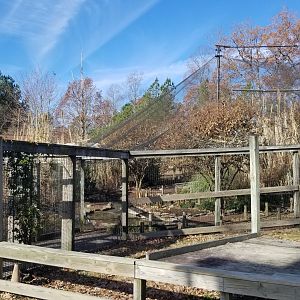 Metro Richmond - Aviary