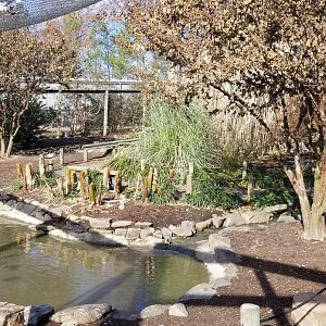 Metro Richmond - inside Aviary