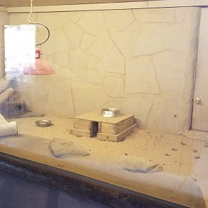 Metro Richmond - Meerkats indoor area