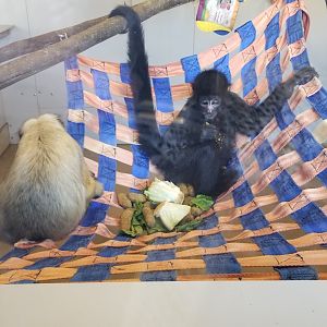 Metro Richmond - Nursery