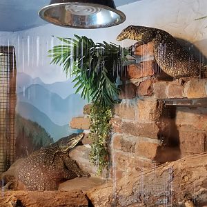 Metro Richmond - Water Monitors