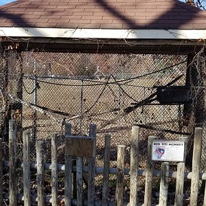 Metro Richmond - Red Titi Monkey