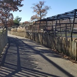 Metro Richmond - path between primates