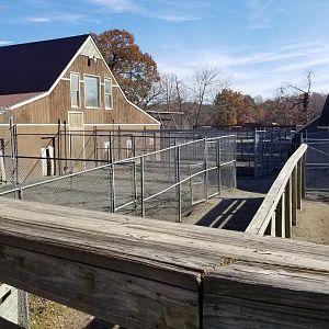 Metro Richmond - fenced areas between primates and giraffes