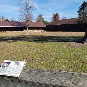 Metro Richmond - Red Kangaroo / Wallaroo / Emu area