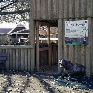 Metro Richmond - Pygmy Hippo entrance