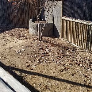 Metro Richmond - Pygmy hippos, other land area