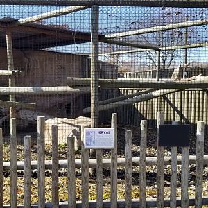 Metro Richmond - Serval