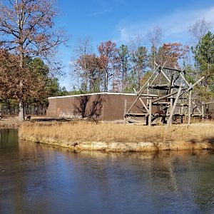 Metro Richmond - Orangutan island