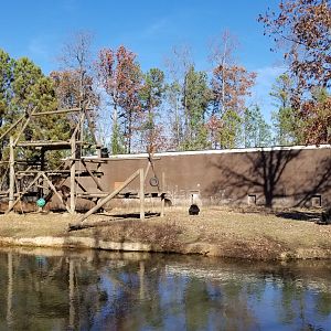 Metro Richmond - Chimpanzee island