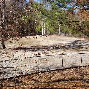 Metro Richmond - empty Impala yard