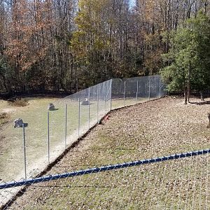 Metro Richmond - Zebras on left, Cheetahs on right (under big green tree)
