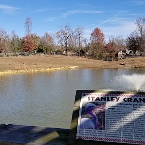 Metro Richmond - Kudu/Bongo/Giraffe yard