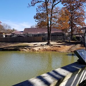 Metro Richmond - rest of Kudu/Bongo/Giraffe yard, with giraffe feeding area