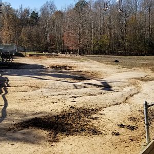 Metro Richmond - Zebra/Addax/Ostrich yard