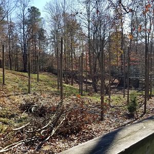 Metro Richmond - former white-tailed deer exhibit