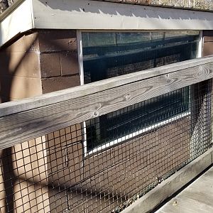 Metro Richmond - American Alligator viewing window (you can't see in)