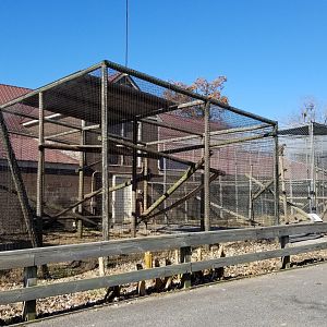 Metro Richmond - primate exhibits next to otters
