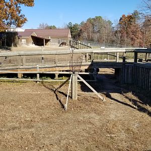 Metro Richmond - tunnel for rheas to go from tapirs to llamas