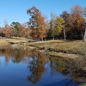 Metro Richmond - Gemsbok, with private enclosures visible far off