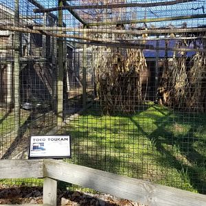 Metro Richmond - Toco Toucan