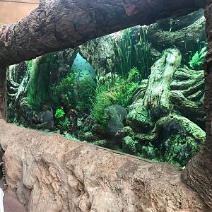 Poema Del Mar Aquarium