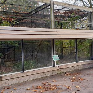 Ocelot-enclosures