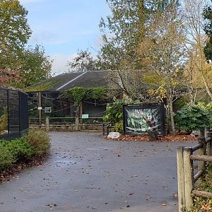 Marmoset - Tamarin enclosures