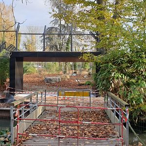 Sumatran tiger enclosure under construction