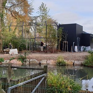 Sumatran tiger enclosure under construction