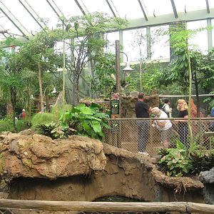 Rainforest Exhibit
