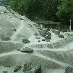 Ibex enclosure at Augsburg 03/09/06