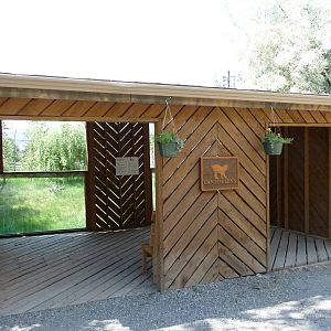 Lynx Enclosure - Viewing Platform