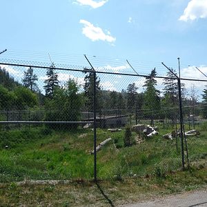 Cougar Enclosure