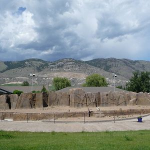 Amphitheatre - Birds of Prey Stage