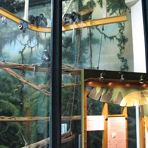 PECO Primate Conservation Center