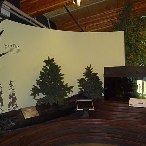 Discovery Centre