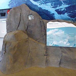 Discovery Centre - Ice + Snow Display