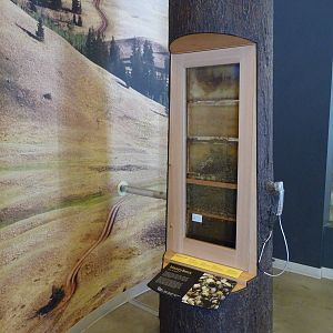 Discovery Centre - Bee Hive