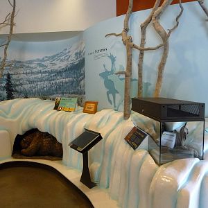 Discovery Centre - Hibernation!