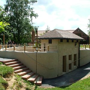 Meerkat enclosure at Tropical Butterfly House 13/06/09