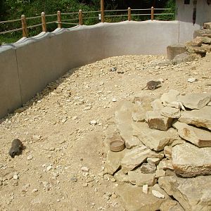 Meerkat enclosure at Tropical Butterfly House 13/06/09