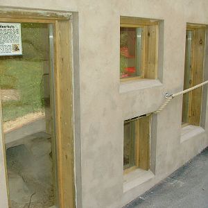 Meerkat indoor viewing at Tropical Butterfly House 13/06/09