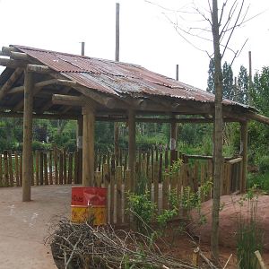 African Aviary Viewing Hut
